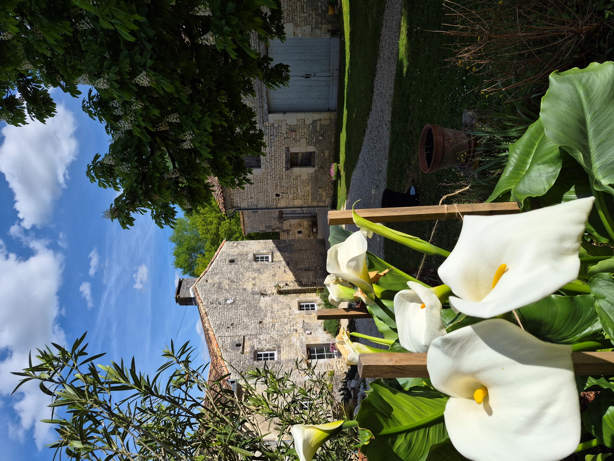 Le Marronnier , photo 1